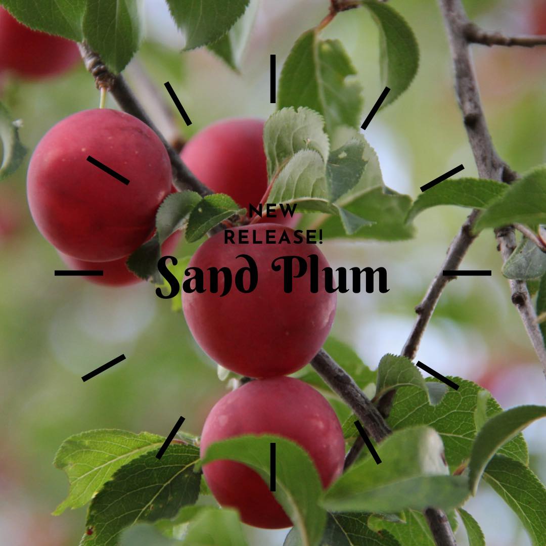 Join us to try our highly anticipated Sand Plum brew! This fruit is native to Ok